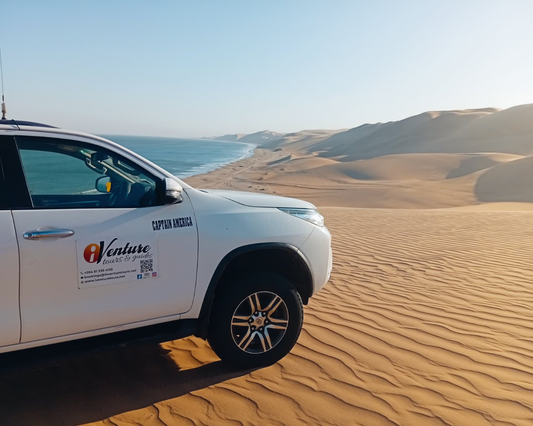 Marine Boat Cruise & Sandwich Harbour Combo