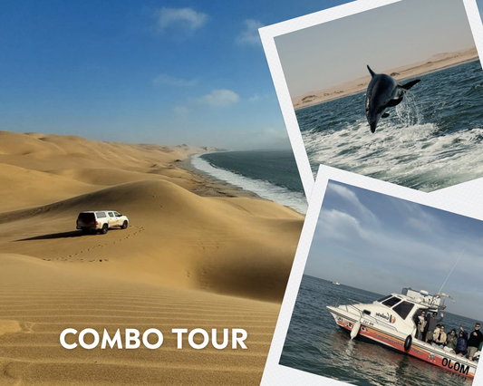 Marine Boat Cruise & Sandwich Harbour Combo