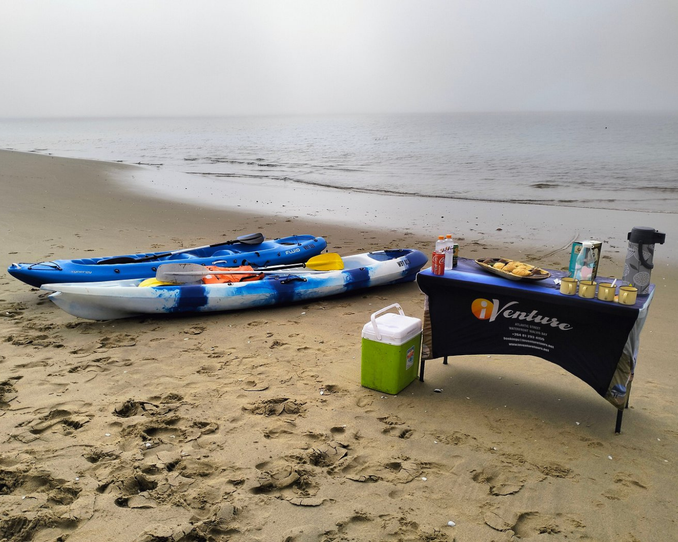 Kayaking at Pelican Point Seal Colony