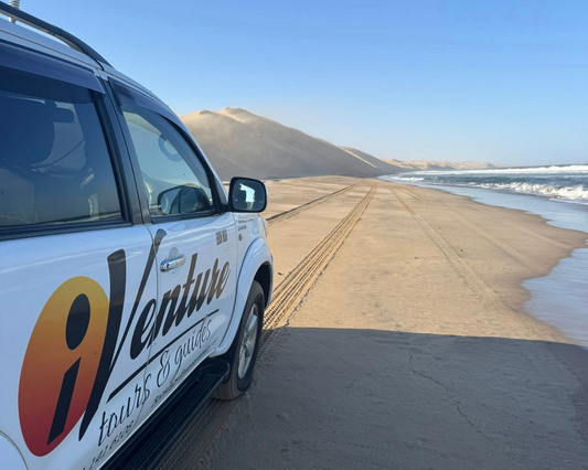 Private Sandwich Harbour Tour