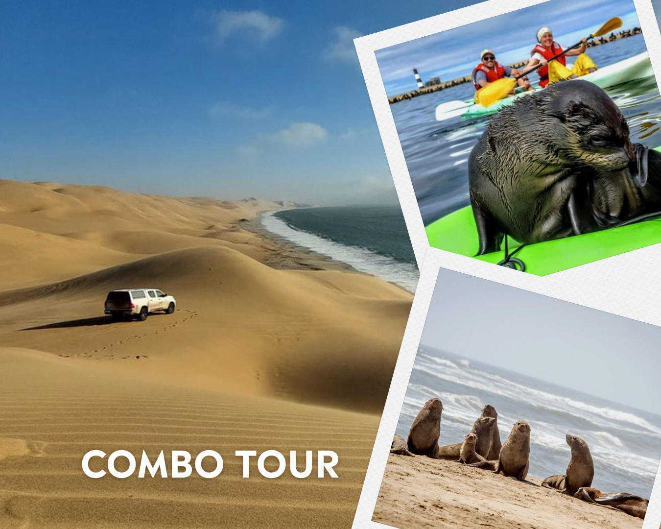 Kayaking & Sandwich Harbour Combo